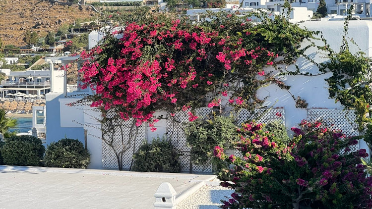 Petasos Beach Resort and Spa in Mykonos